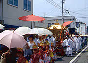 幼児が曳く大神輿（渡御行列）