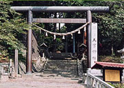 鳥居から参道を登った本殿の右手に、県の天然記念物のナギの巨木がある。