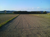 静岡県神道青年会