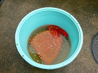 静岡県神道青年会