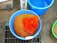 静岡県神道青年会