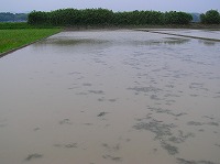 静岡県神道青年会