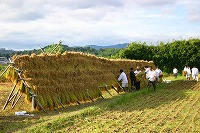 静岡県神道青年会