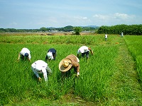 静岡県神道青年会