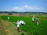 静岡県神道青年会