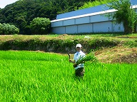 静岡県神道青年会
