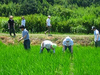 静岡県神道青年会