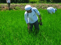 静岡県神道青年会