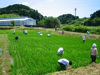 静岡県神道青年会