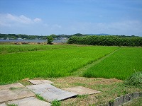 静岡県神道青年会