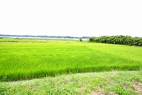 静岡県神道青年会