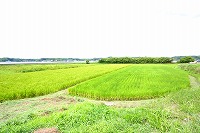 静岡県神道青年会