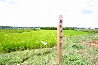 静岡県神道青年会