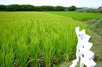 静岡県神道青年会