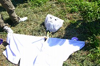 静岡県神道青年会