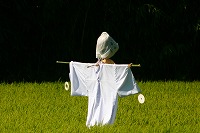 静岡県神道青年会