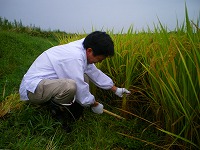 静岡県神道青年会