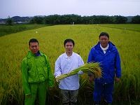 静岡県神道青年会