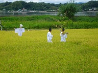 静岡県神道青年会