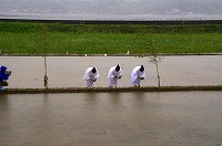 静岡県神道青年会