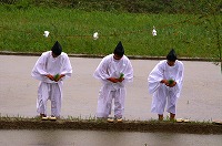 静岡県神道青年会