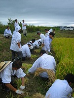 静岡県神道青年会