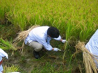 静岡県神道青年会