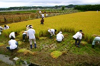 静岡県神道青年会