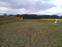 静岡県神道青年会