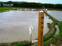 静岡県神道青年会