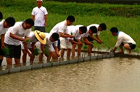 静岡県神道青年会