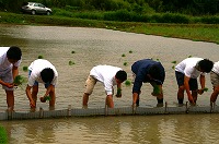 静岡県神道青年会