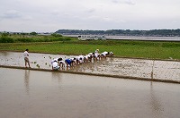 静岡県神道青年会