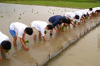静岡県神道青年会