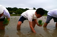 静岡県神道青年会
