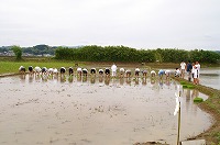 静岡県神道青年会
