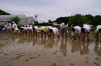 静岡県神道青年会