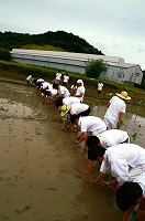 静岡県神道青年会