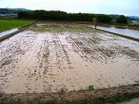 静岡県神道青年会