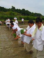 静岡県神道青年会