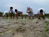 静岡県神道青年会