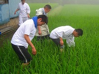 静岡県神道青年会