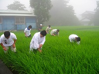 静岡県神道青年会