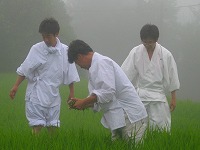静岡県神道青年会