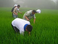 静岡県神道青年会