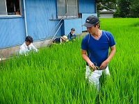 静岡県神道青年会
