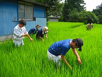 静岡県神道青年会