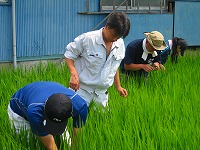 静岡県神道青年会