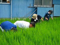 静岡県神道青年会