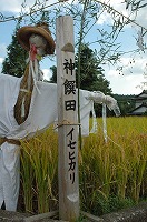 静岡県神道青年会